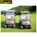 Hot sale 2 seater mini electric golf cart